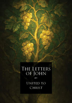 A vine. The branches in the light grow and bear fruit. The branches in the dark bear no fruit and die.