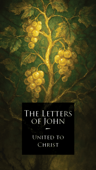A vine. The branches in the light grow and bear fruit. The branches in the dark bear no fruit and die.