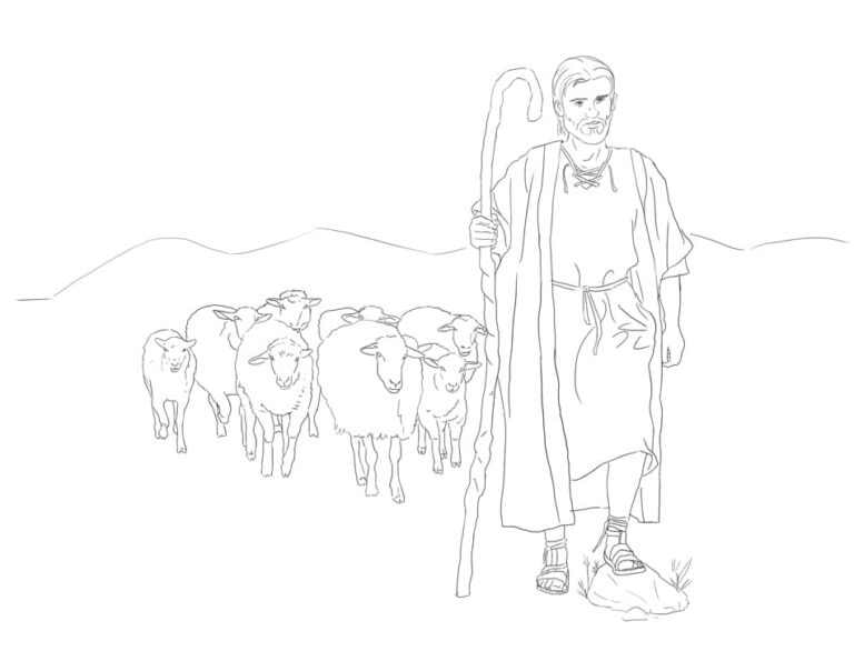 Un pastor camina. Las ovejas lo siguen.